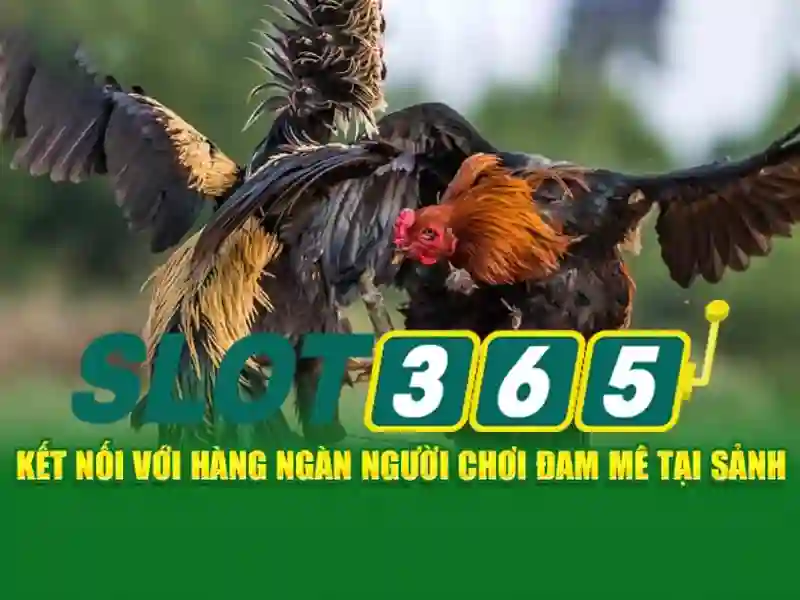 Đăng ký tài khoản SLOT365
