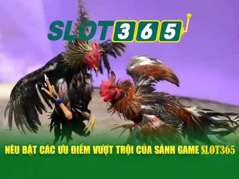 Trang Chủ SLOT365