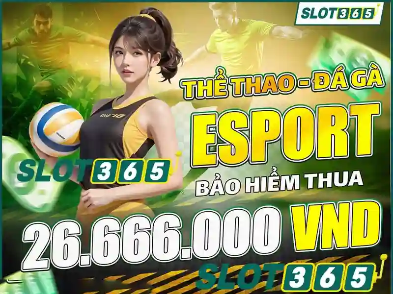 Đánh Giá Slot365