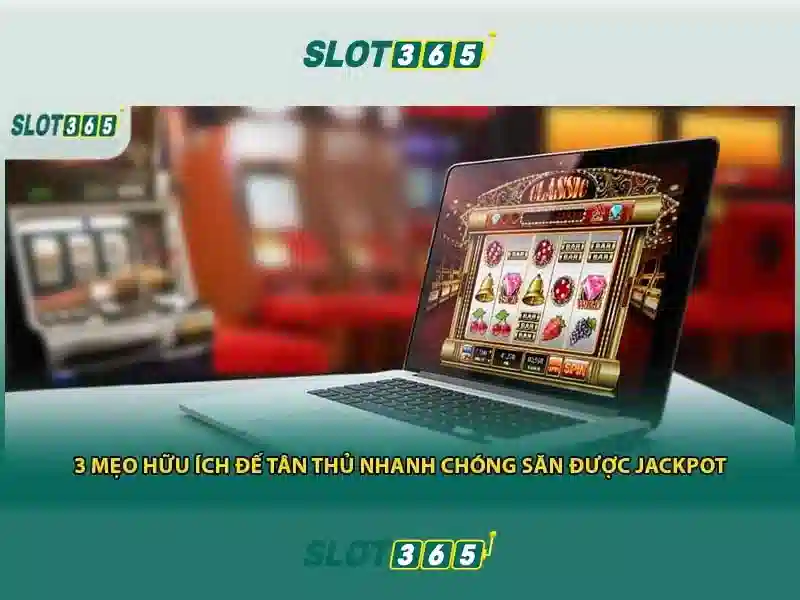 Trải nghiệm cá cược Slot365