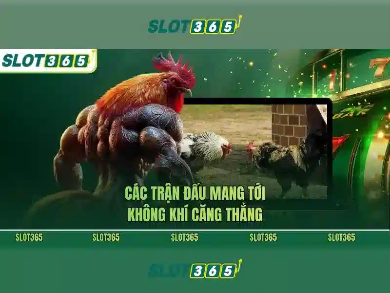 Ưu Điểm Slot365
