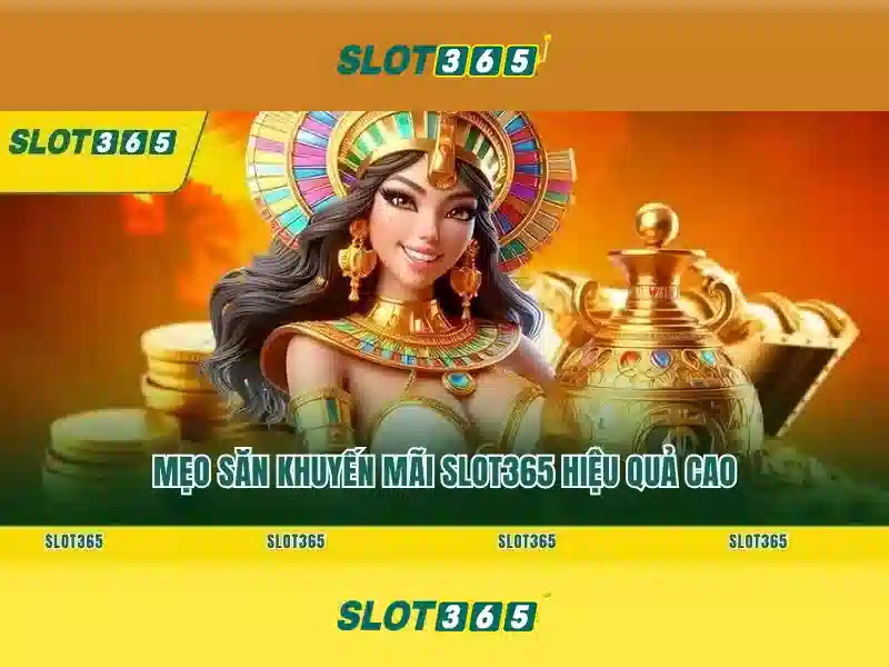 SLOT365 Bet Trực Tiếp Không Bị Chặn 2026