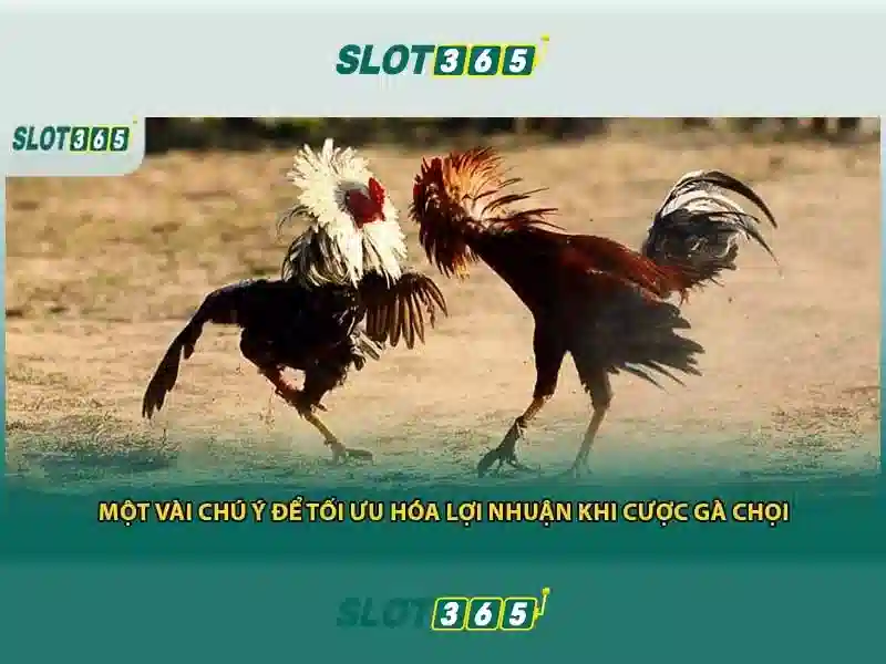 SLOT365 - Trải Nghiệm Game Slot365 Thú Vị, Nhận Thưởng Hấp Dẫn 2026
