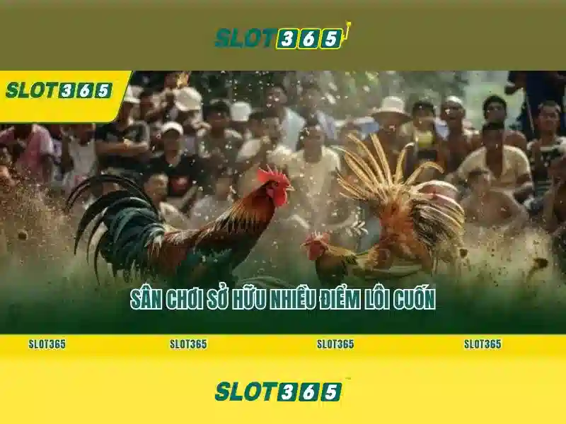 Khuyến Mãi Slot365