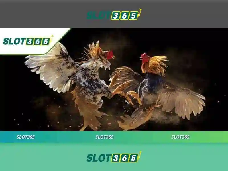 Trải Nghiệm Slot365