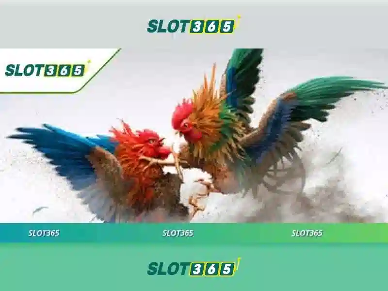 tính năng Slot365