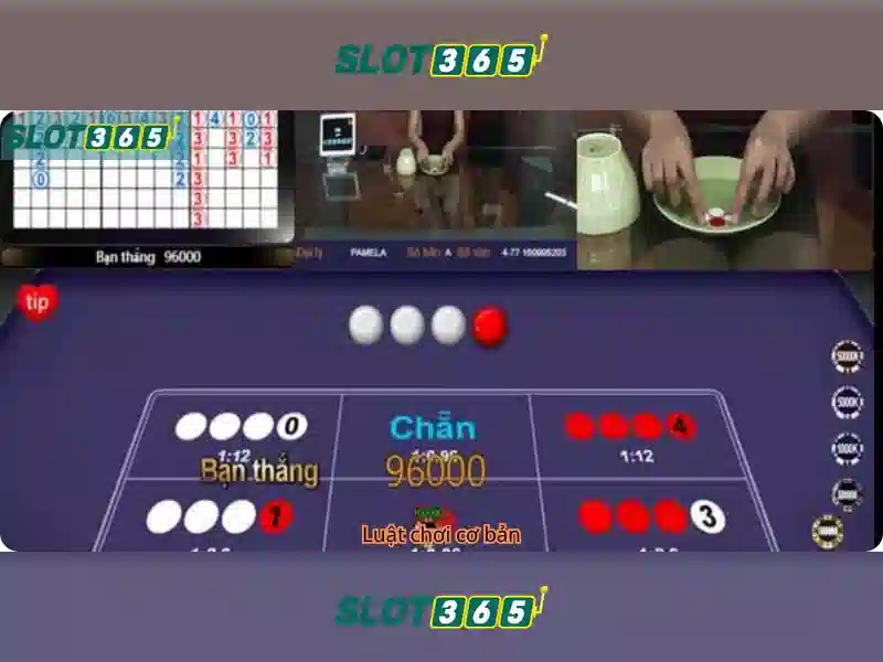 Slot365 tái – Trải Nghiệm Cá Cược Đa Dạng