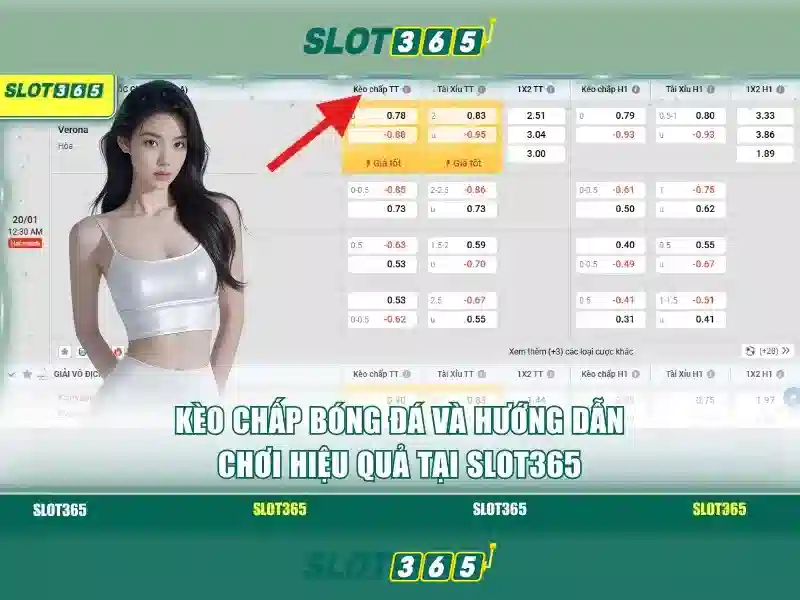 Trải Nghiệm Đỉnh Cao