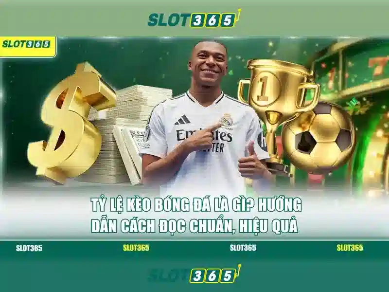 slot365 bet
