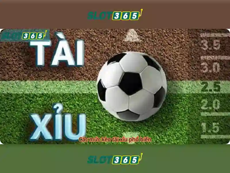 Trải nghiệm Slot365