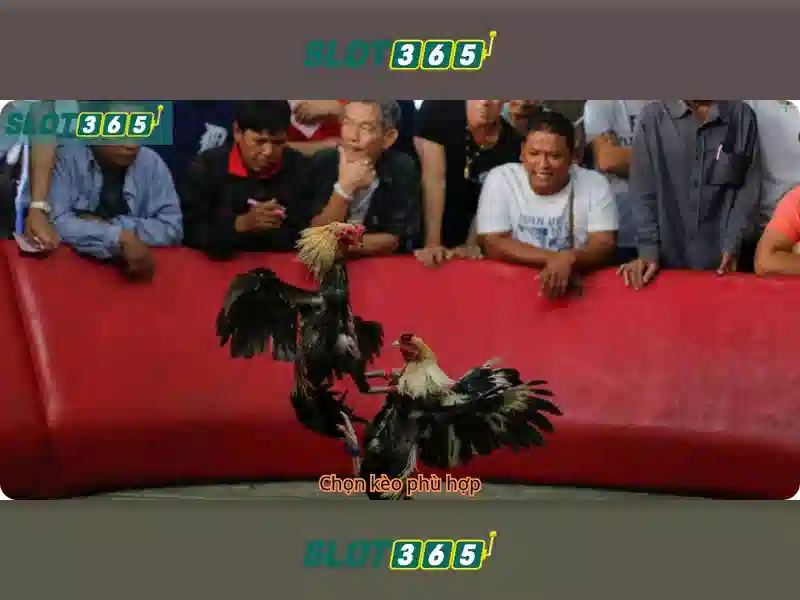 Bảo Mật Slot365