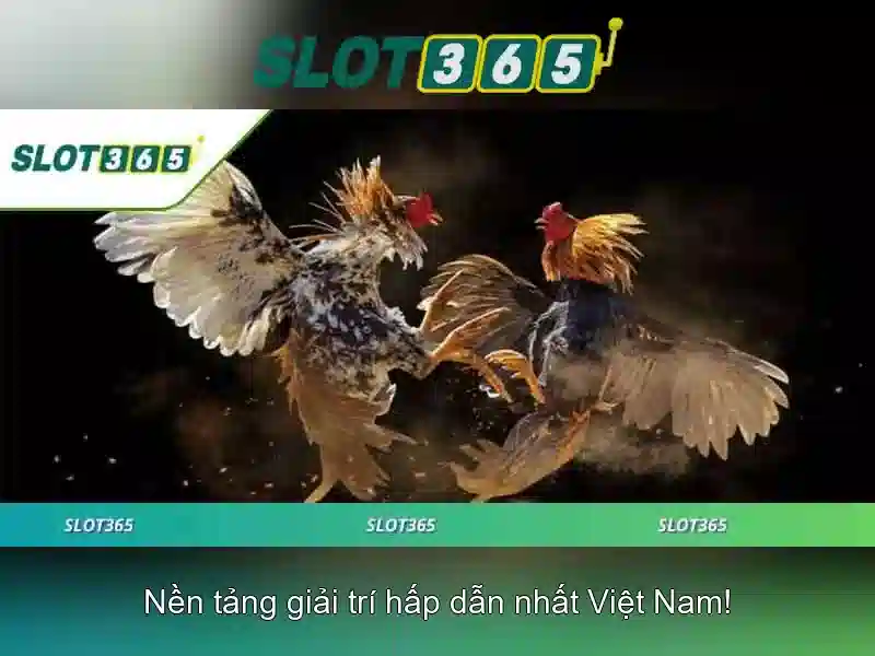 SLOT365 nổ hũ