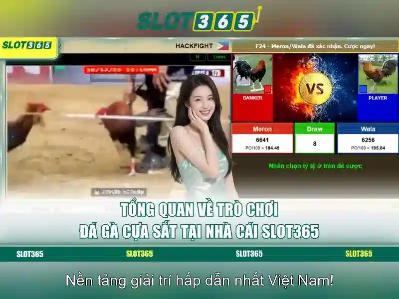 Tại Sao Nên Chọn Slot365 App