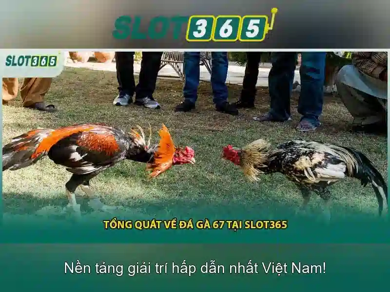 Slot Game Slot365 – Cơ Hội Trúng Thưởng Lớn, Đặt Cược Ngay Hôm Nay!