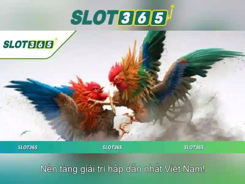 Chương Trình Khuyến Mãi