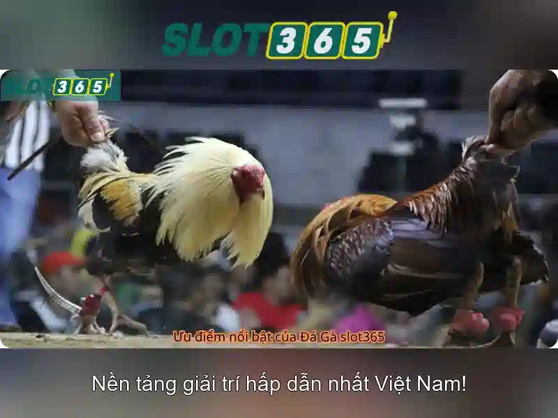 SLOT365 – Nền tảng giải trí trực tuyến hàng đầu châu Á