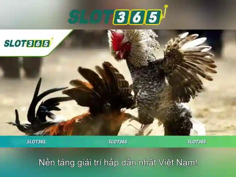 Đăng Nhập Slot365 Tái