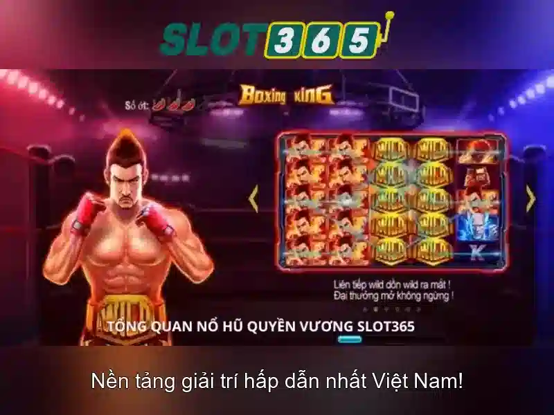 Đánh Giá Từ Người Dùng