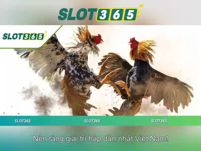 SLOT365 - Trải Nghiệm Game Slot365 Đỉnh Cao, Thưởng Cực Hấp Dẫn 2026