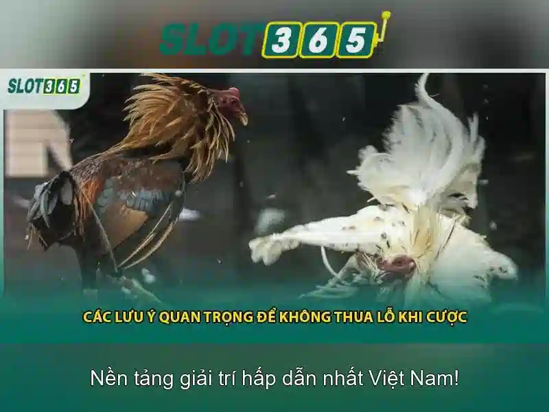 Trải Nghiệm Chơi Slot Trên Trang Chủ Slot365 Chính Thức
