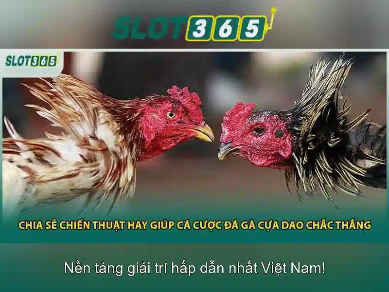 Ưu Đãi Slot365 2026