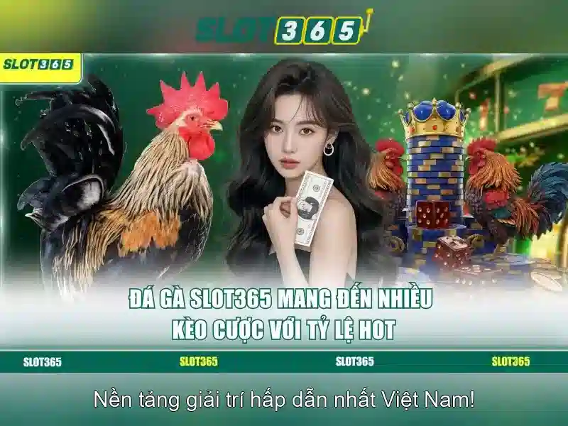 Quy Trình Rút Thưởng Slot365
