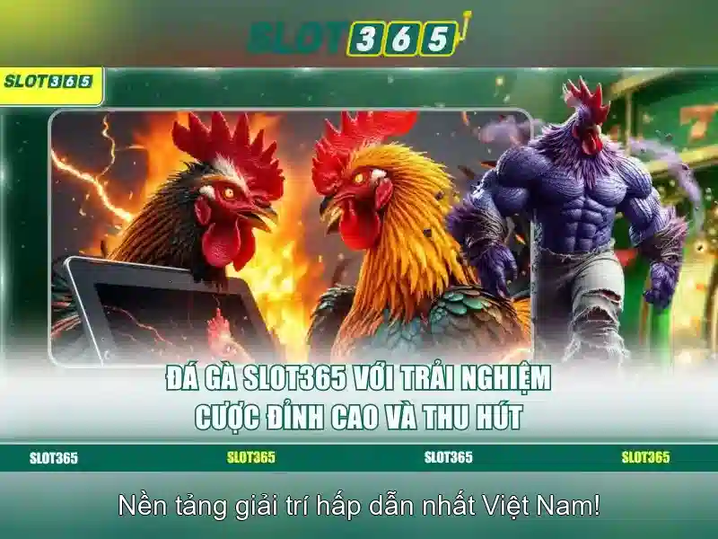 Kinh Nghiệm Chơi Slot365
