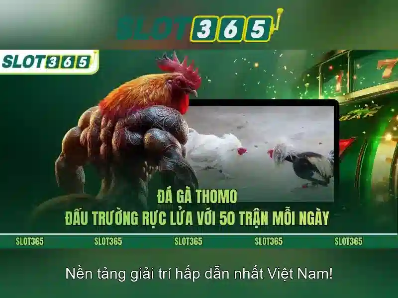 Slot365 Poker