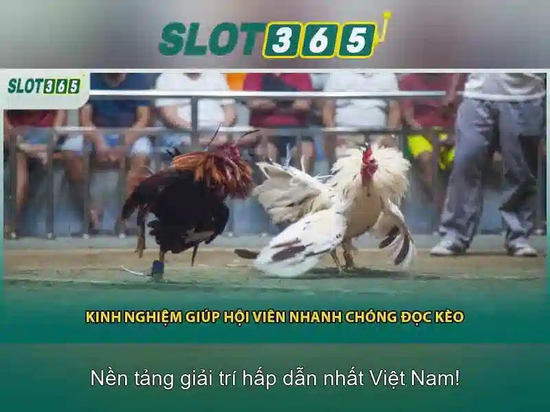 SLOT365