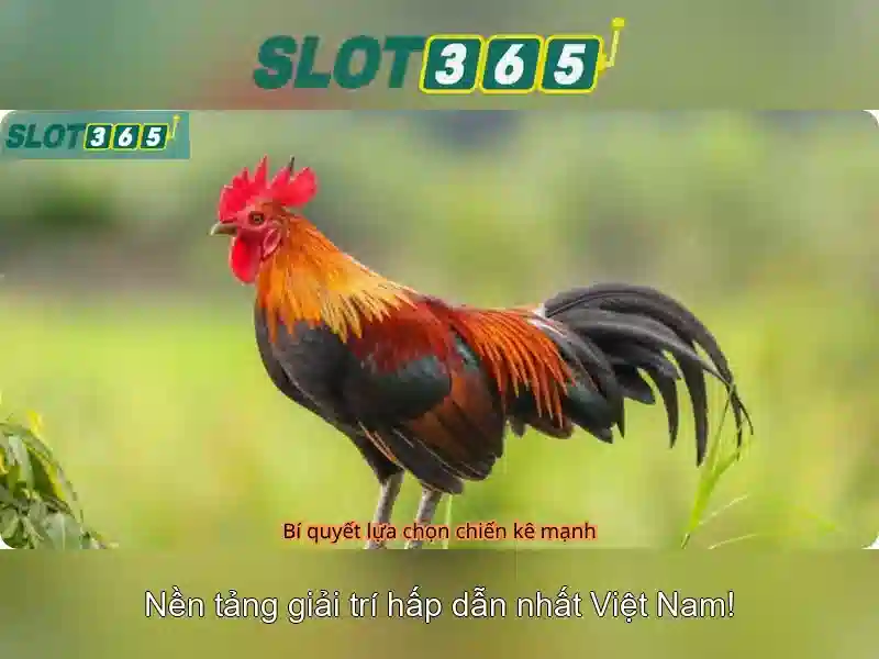 SLOT365 – Trải Nghiệm Chơi Slot Đỉnh Cao Với Link Slot365 Chính Thức 2026