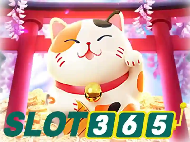 Trải nghiệm Slot365