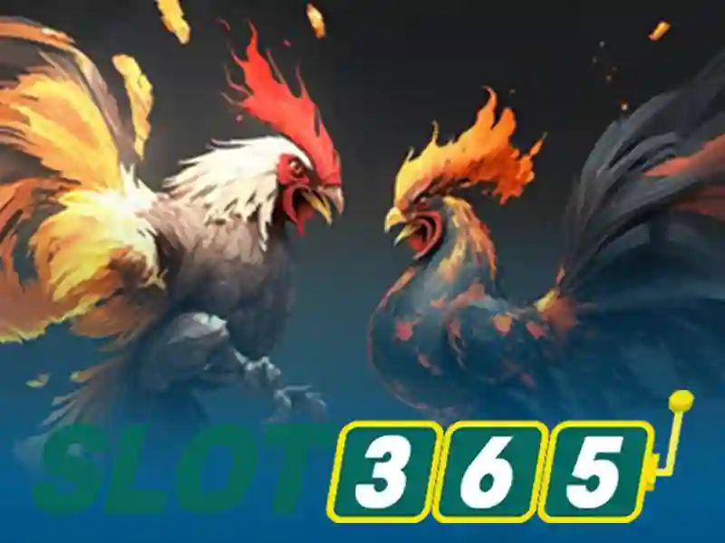 Ưu Đãi Slot365